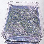 Moltiplicazione per seme: uso di un foglio di plastica trasparente per evitare che il terreno si secchi troppo rapidamente e per mantenere una umidità costante