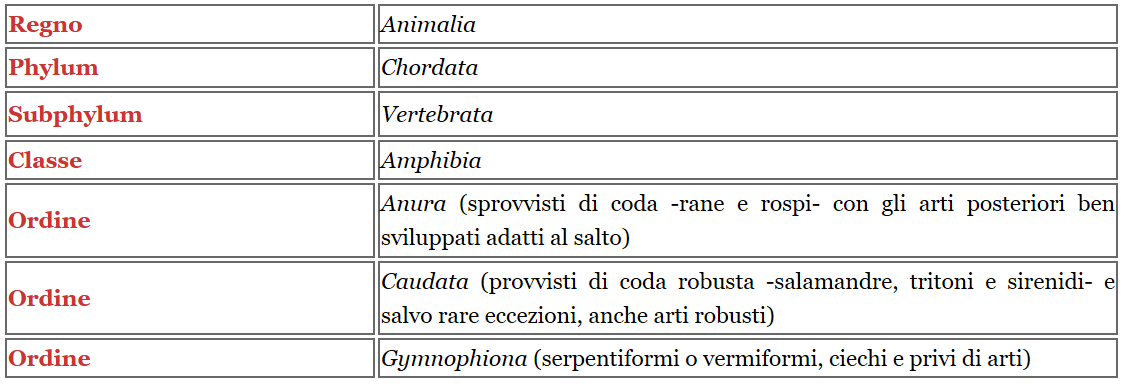 Classificazione anfibi
