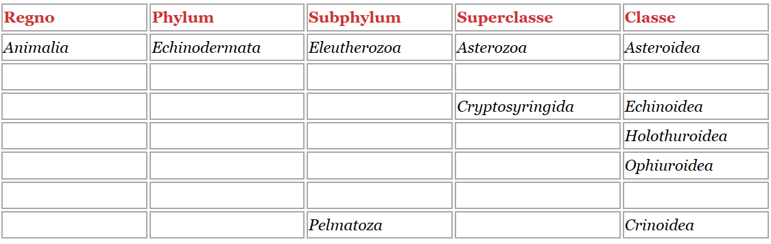 Classificazione echinodermi
