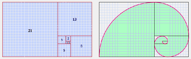Nautilus e la spirale di Fibonacci