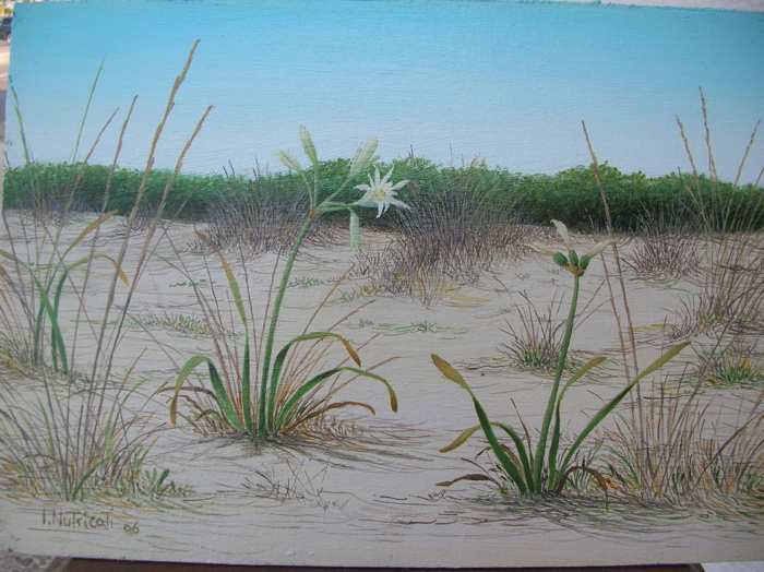 Olio su tela di Ippazio Nutricati: Giglio delle dune