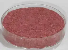 Carne sintetica, tutto quello che c'è da sapere
