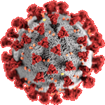 Cos'è il virus SARS-CoV-2 che causa la malattia COVID-19  meglio noto come coronavirus