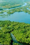 WFC 2015 – Qual è lo stato di salute delle foreste nel mondo? 