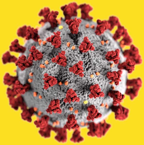 Coronavirus ome possiamo proteggerci