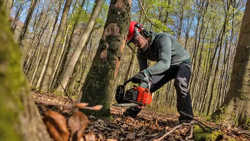 Uso della motosegna per tenere pulito il bosco