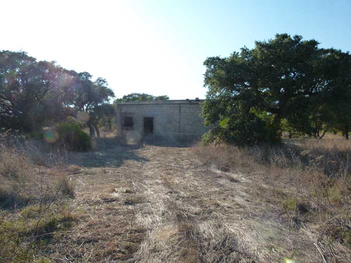 Giancarlo Lagostena estratto dal libro: Ad Occhi Bendati, un approccio non convenzionale alla conservazione delle specie e dell'ambiente