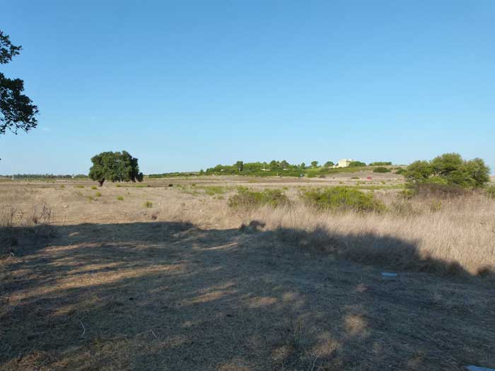 Giancarlo Lagostena estratto dal libro: Ad Occhi Bendati, un approccio non convenzionale alla conservazione delle specie e dell'ambiente
