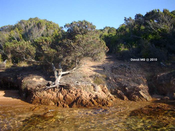 La Maddalena, Sardegna Italia, foto, foto di La Maddalena, La Maddalena foto, panorama La Maddalena