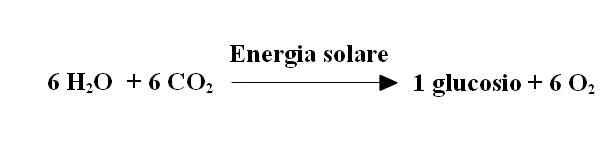 Formula chimica su come avviene la fotosintesi clorofilliana