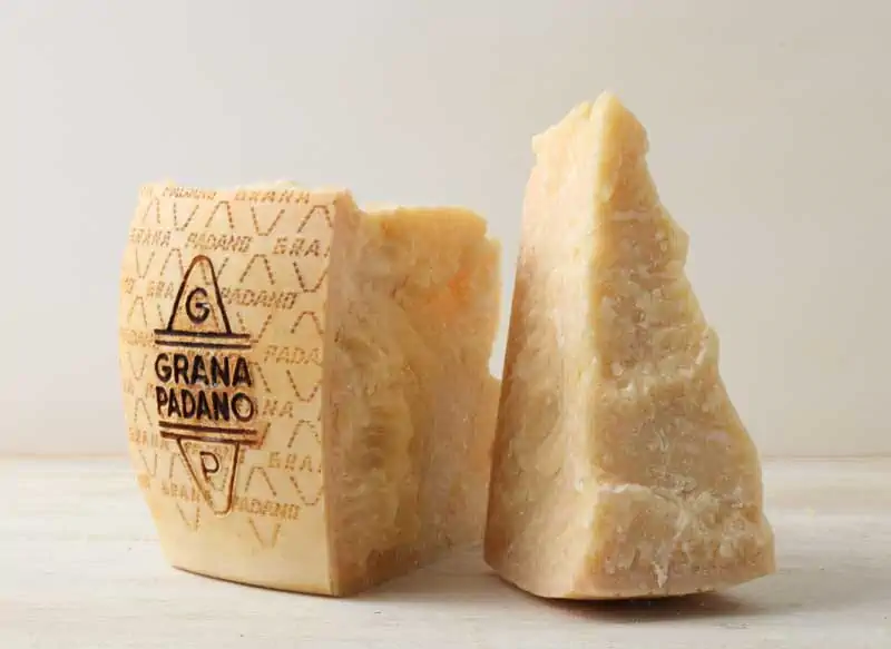 Fetta di grana padano