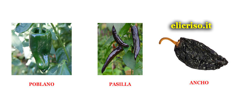 Varietà e specie di Peperoncino moderatamente piccanti