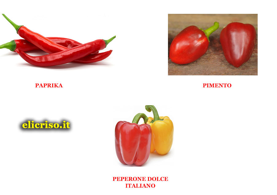 Varietà e specie di Peperoncino non piccanti