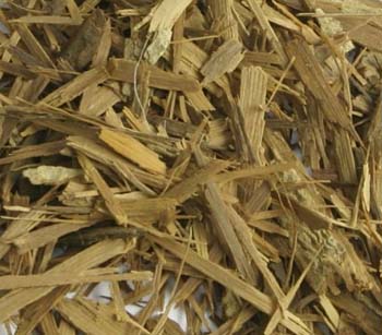 Radice di muira puama