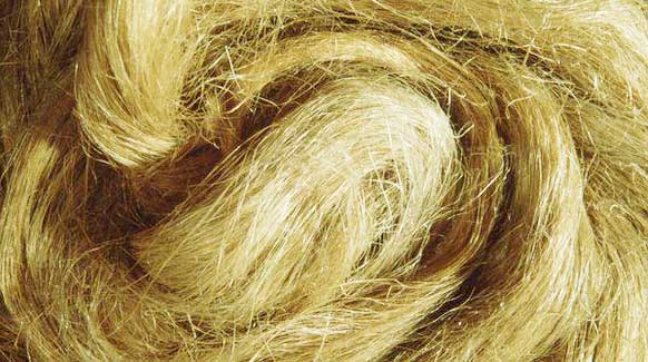 Fibra di canapa