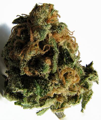 marijuana
