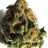 Marijuana (derivata dalla Cannabis)