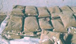 Pani di hashish