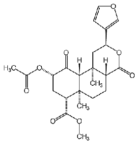 Salvinorin, principio attivo della Salvia divinorum