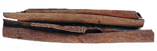 Cinnamomum cassia