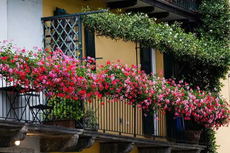 Balcone ricco di fiori per le api