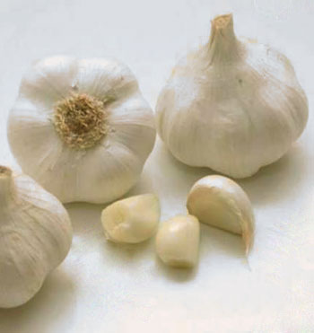 Spicchio di aglio