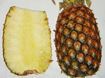 Proprietà della pianta di ananas