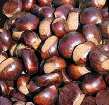 Proprietà delle castagne