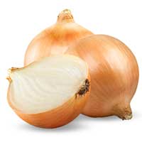Piante medicinali: Cipolla 