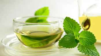 Tisana alla menta