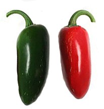 Peperoncino Jalapeño Peperoncino jalapeno