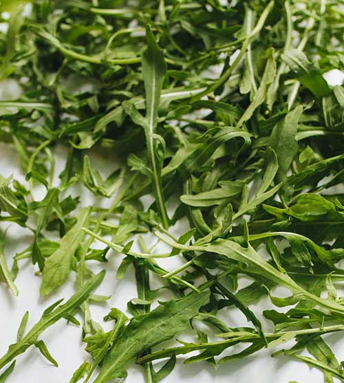 Foglie di rucola