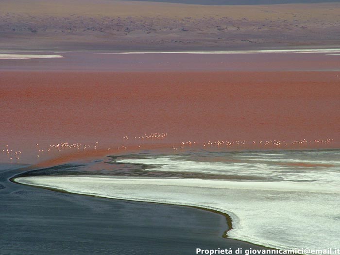 Bolivia, Laguna Colorada