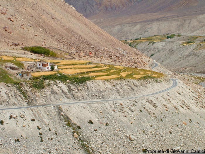 Nubra Valley , distretto di Leh, regione di Ladakh in India