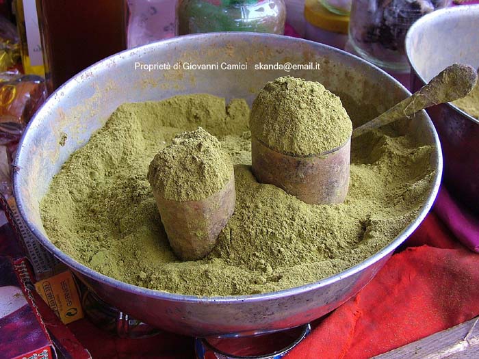 Mauritania: viaggio in Africa -   Nouakchott, henna (pianta arbustiva che contiene una sostanza colorante usata in Africa in cosmetica e per le pitture corporali)