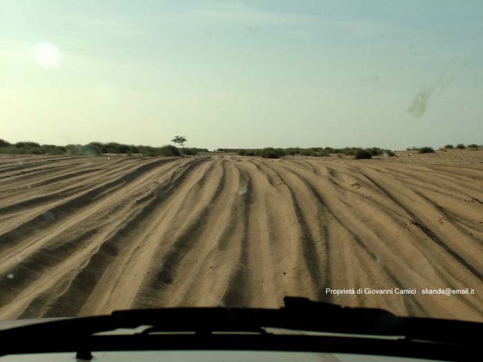 Mauritania: viaggio in Africa -  Parc national du Banc d'Arguin