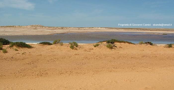 Mauritania: viaggio in Africa -  Parc national du Banc d'Arguin - Teichot
