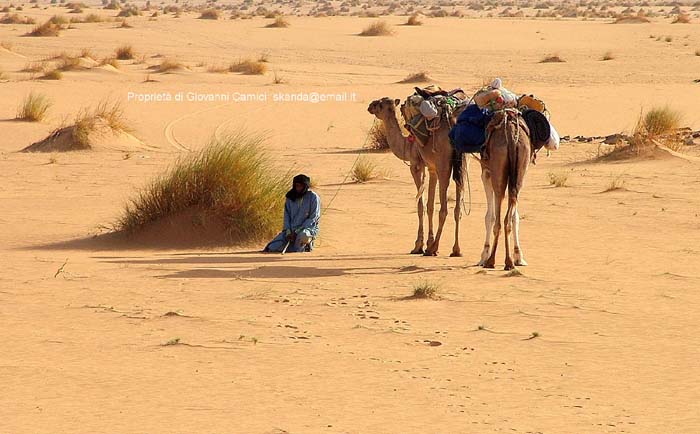 Mauritania: viaggio in Africa - Villaggio di pastori nomadi