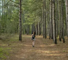 Shinrin-Yoku o bagno di foresta: il tuo rimedio naturale per ridurre lo stress