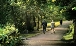 Cosa fare per migliorare la salute mentale