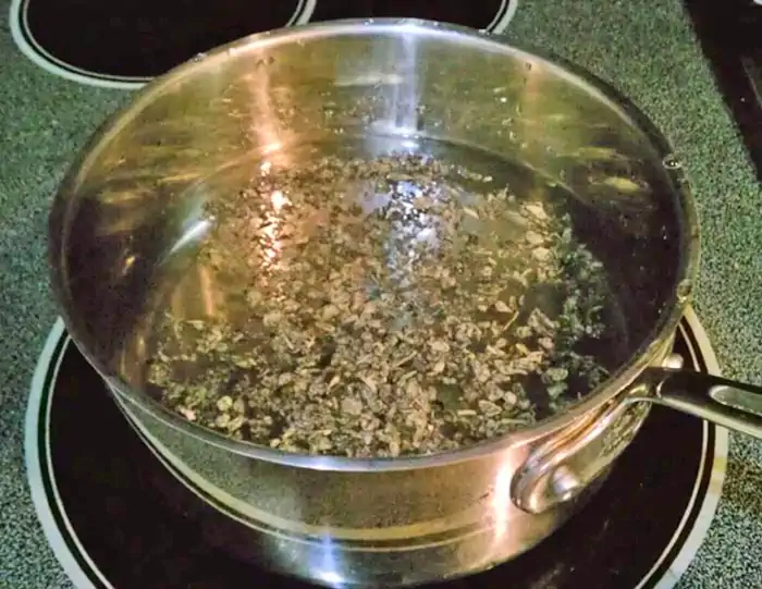 Decotto: come si prepara, cos'è e a cosa serve