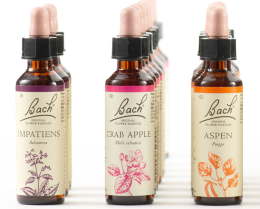 Curarsi con i fiori di Bach