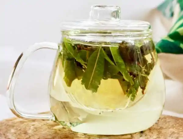 Infuso: cos'è e come prepararlo