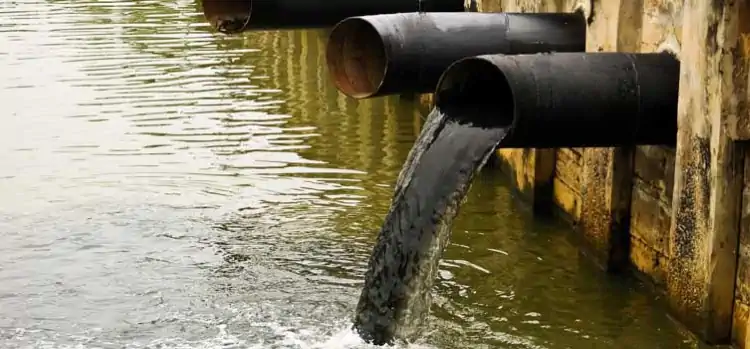 Sostenibilità ed etica ambientale