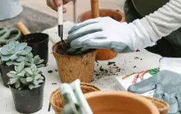 Come scegliere i guanti da giardinaggio