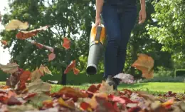 Come tenere in ordine il giardino