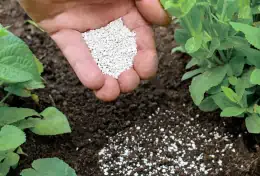 Nozioni base per una corretta concimazione delle piante