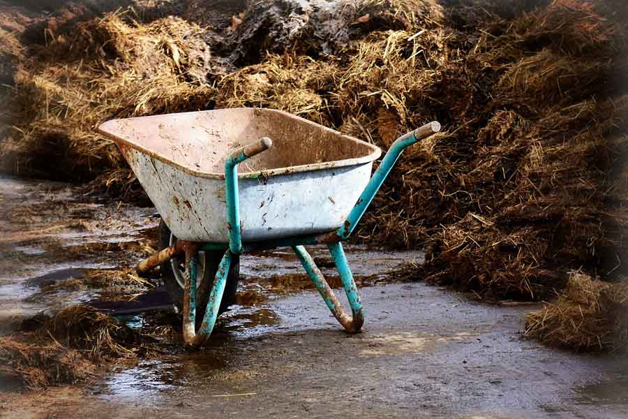 Concimi naturali, quali sono e come farli