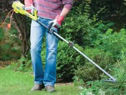 Come mantenere in buona salute il giardino grazie al decespugliatore e ai suoi accessori