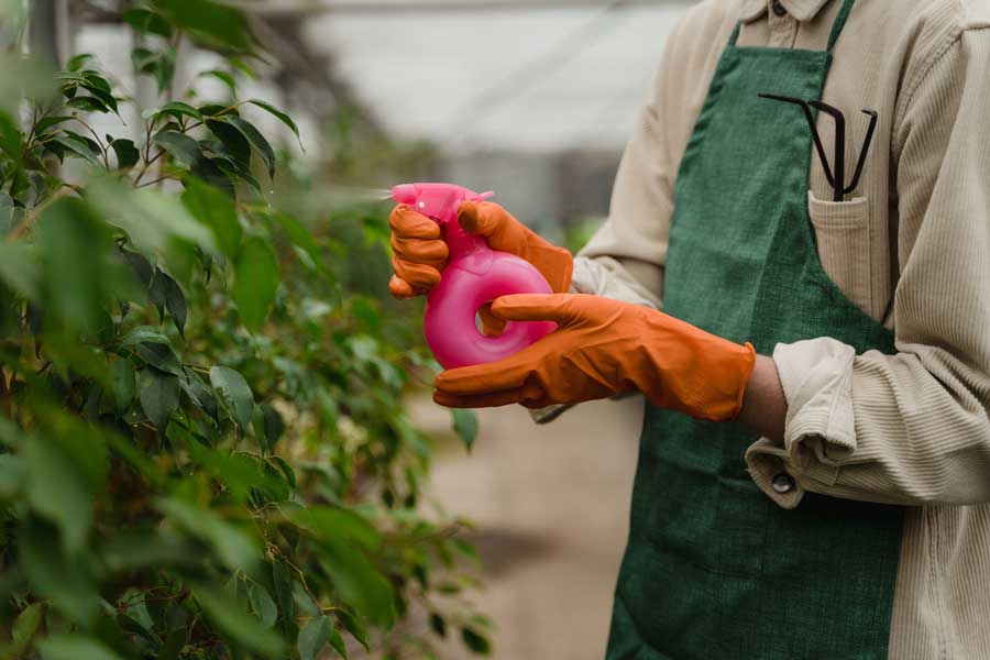  Insetticidi  naturali: i più usati e come farli